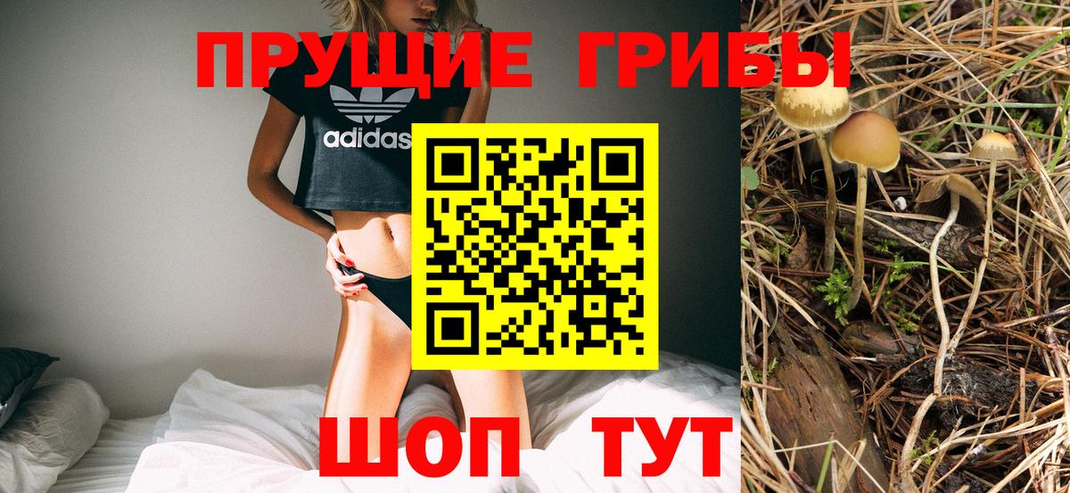 Галлюциногенные грибы мухоморы Стрежевой